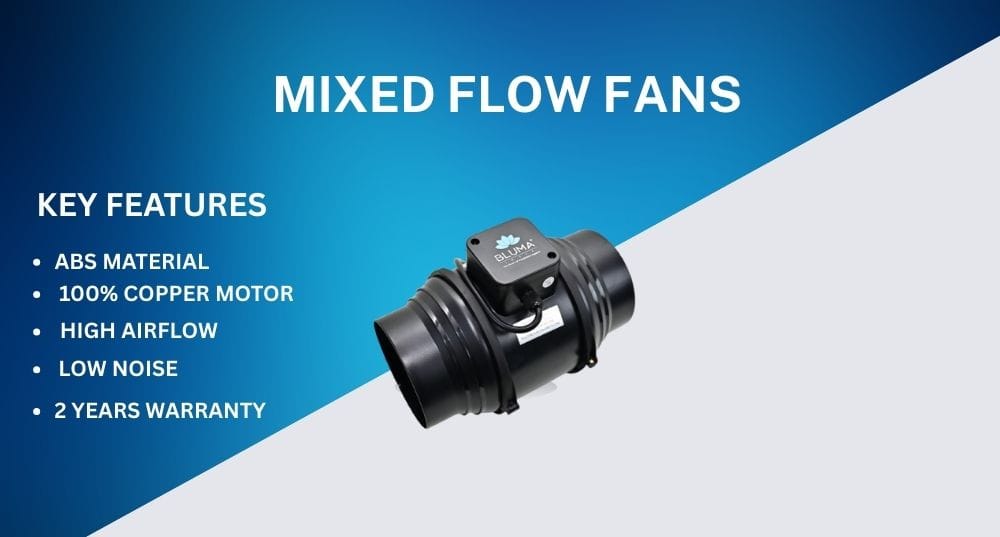 BLUMAINDIA BLUMAINDIA