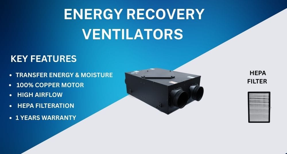 BLUMAINDIA BLUMAINDIA