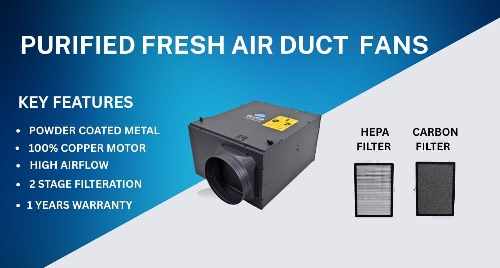 BLUMAINDIA BLUMAINDIA