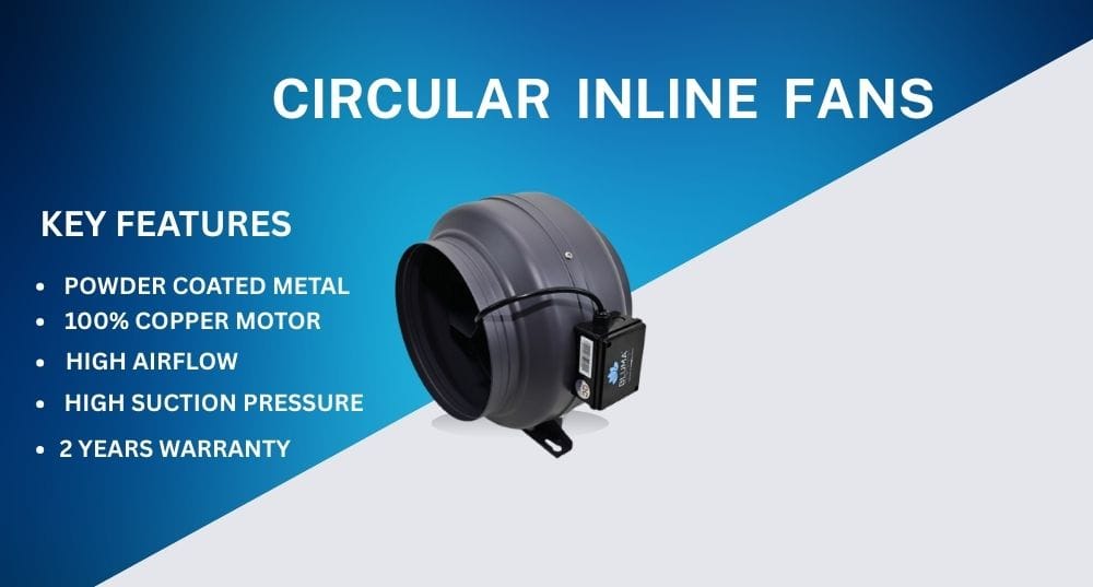 BLUMAINDIA BLUMAINDIA