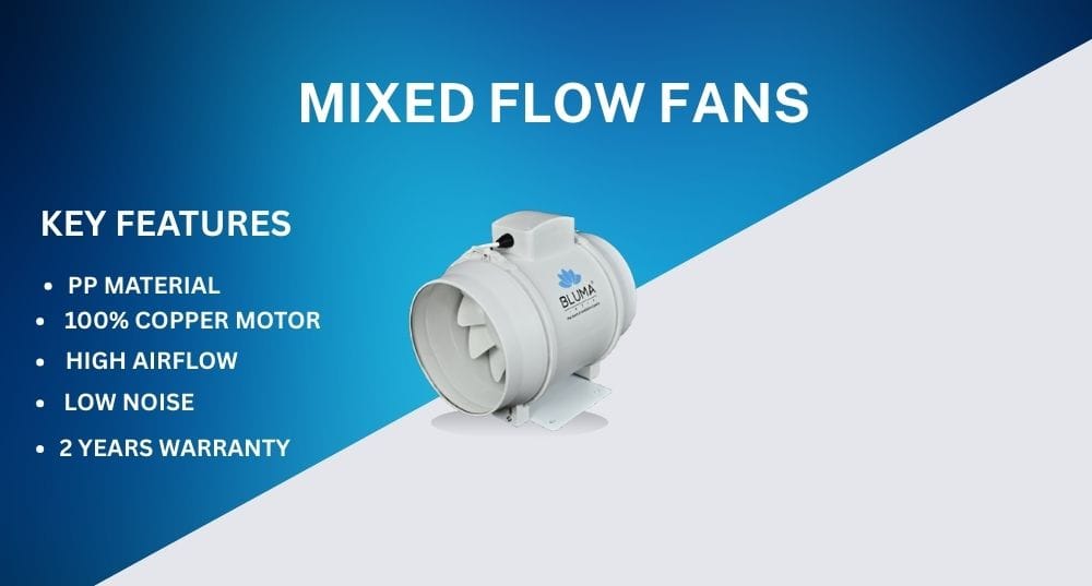 BLUMAINDIA BLUMAINDIA