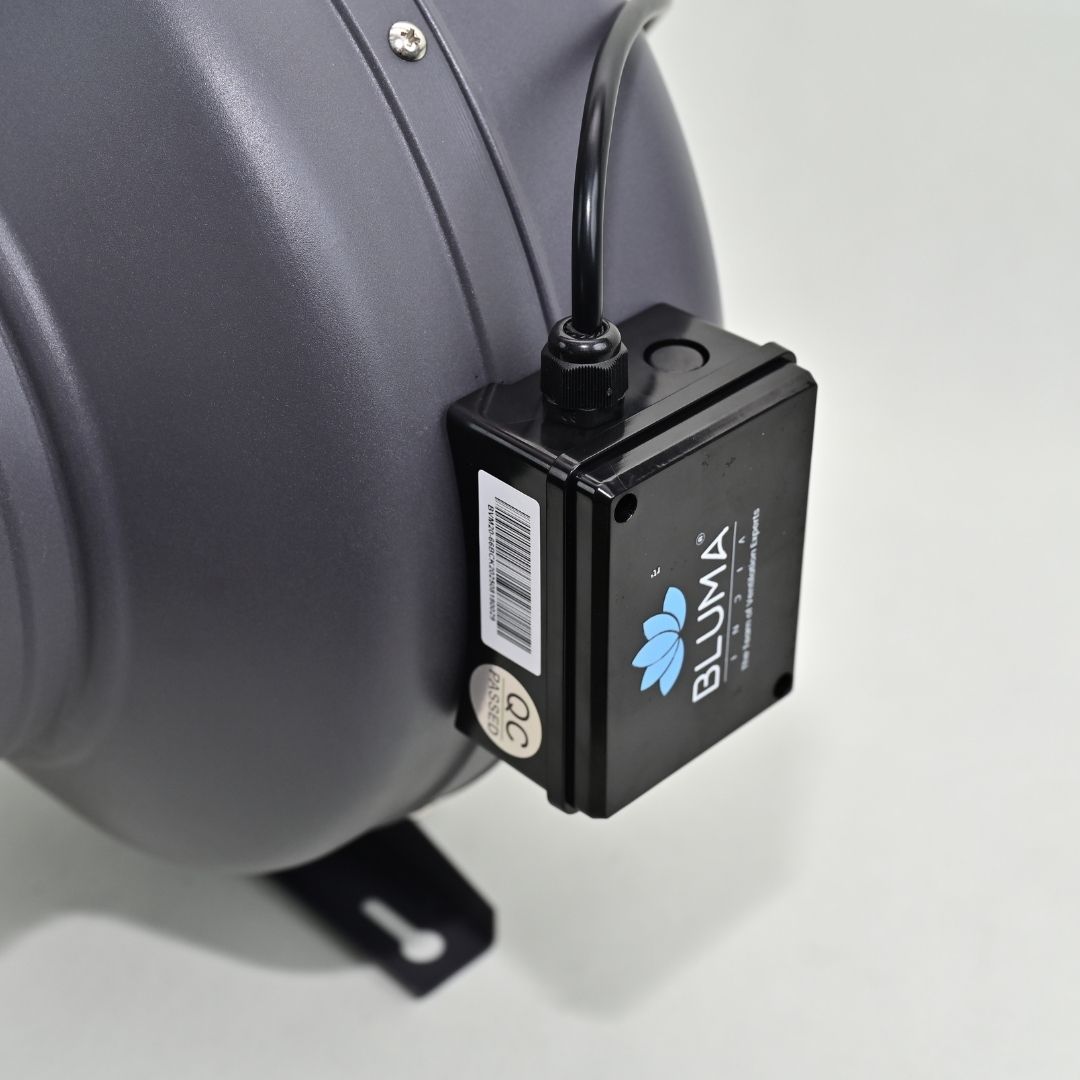 BLUMA (BVM20-66B) CIRCULAR FAN | BLUMAINDIA