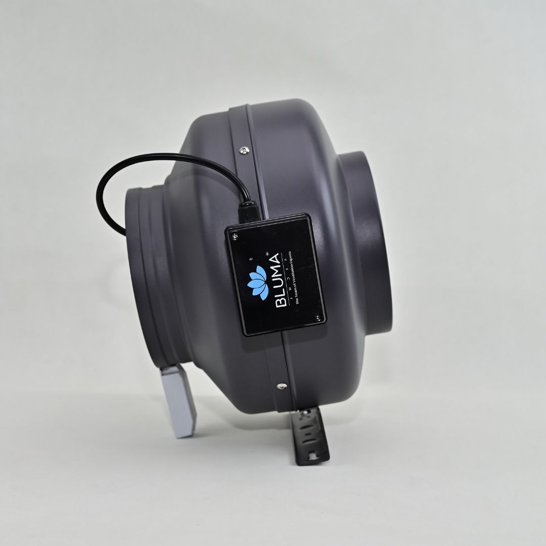 BLUMA (BVM20-66B) CIRCULAR FAN | BLUMAINDIA