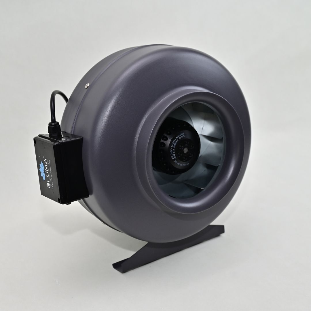 BLUMA (BVM20-66B) CIRCULAR FAN | BLUMAINDIA