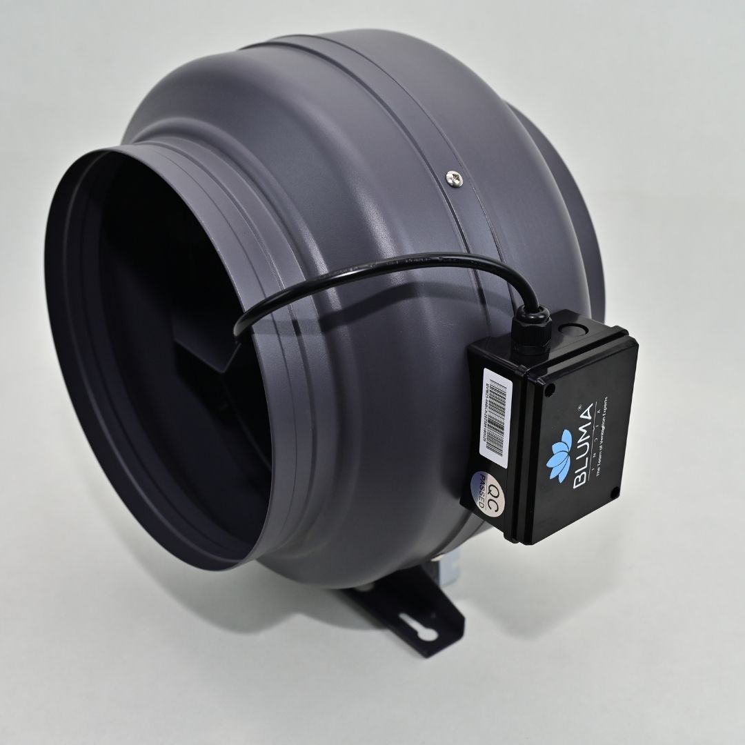 BLUMA(BVM25-66B) CIRCULAR FAN | BLUMAINDIA