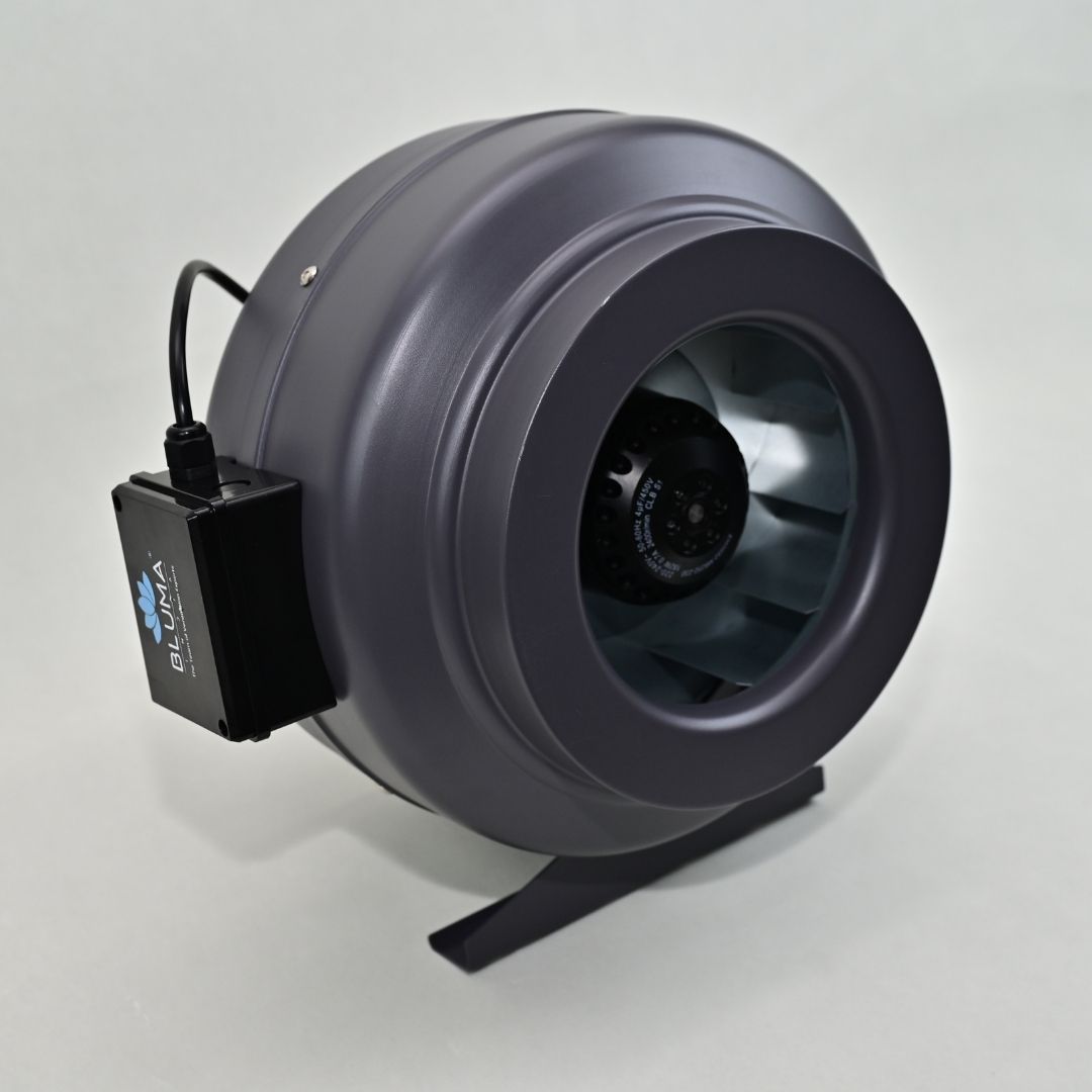 BLUMA(BVM25-66B) CIRCULAR FAN | BLUMAINDIA