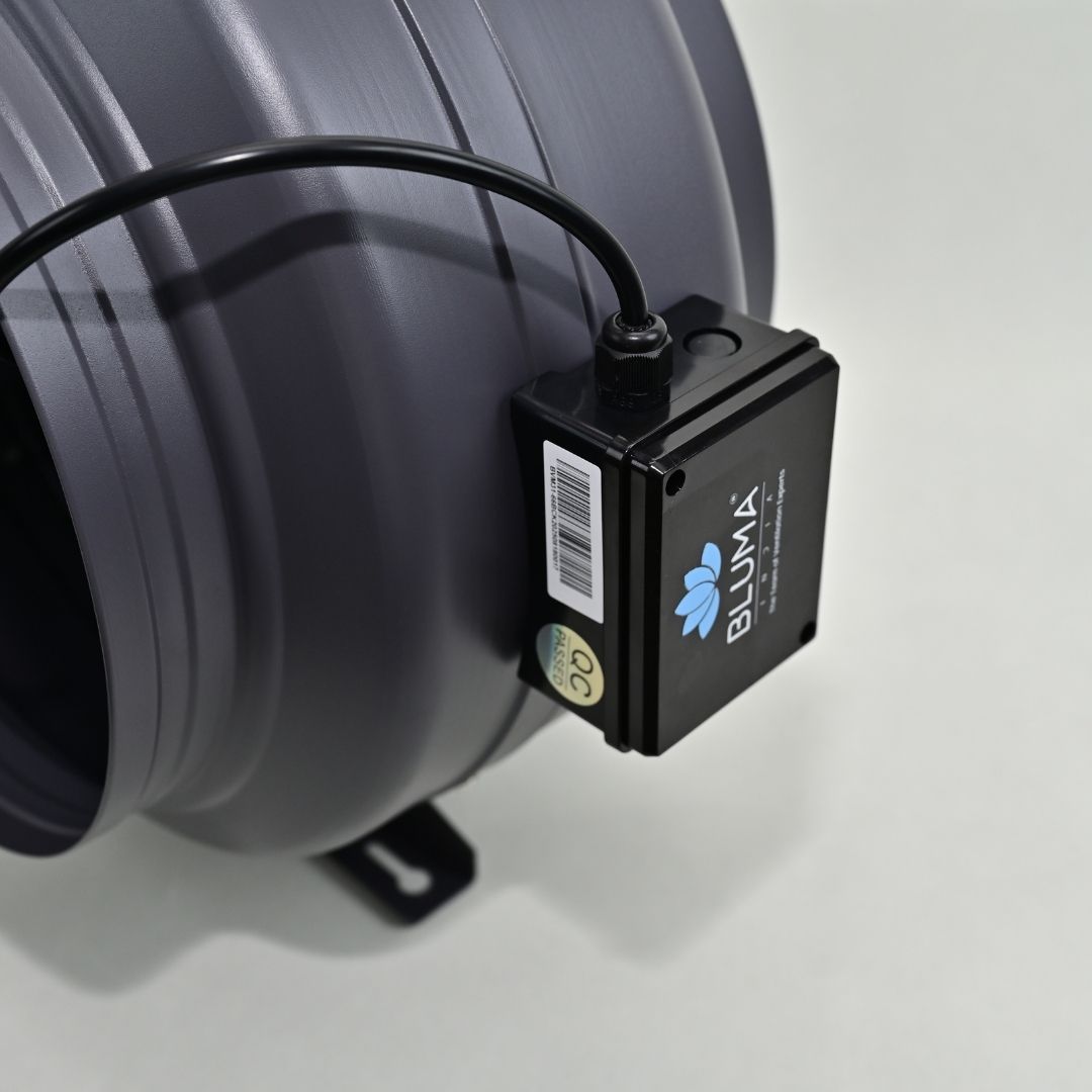 BLUMA(BVM31-66B) CIRCULAR FAN | BLUMAINDIA