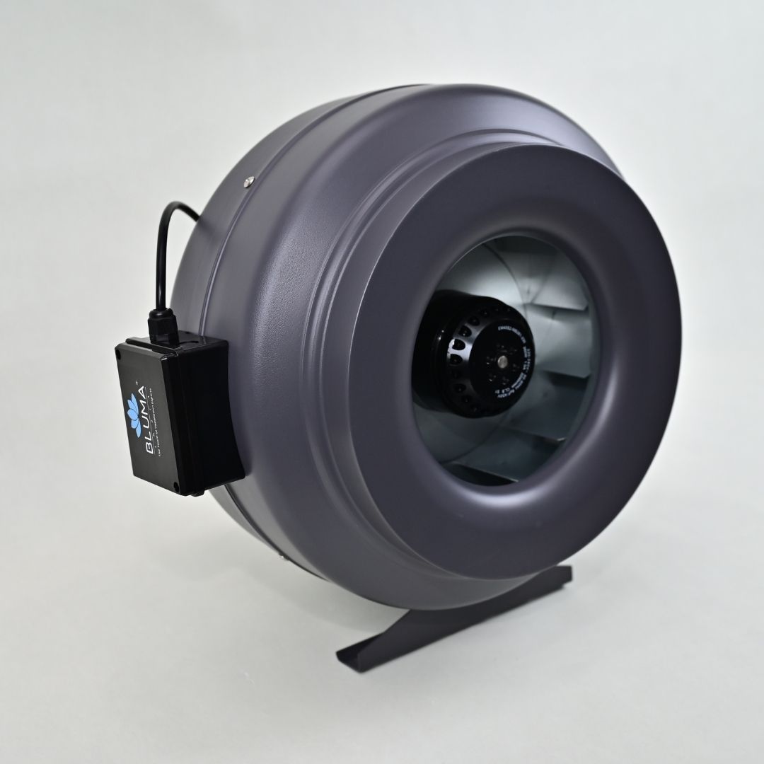 BLUMA(BVM31-66B) CIRCULAR FAN | BLUMAINDIA