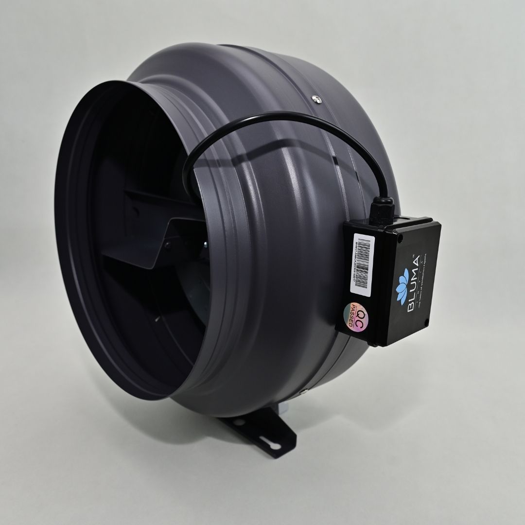 BLUMA(BVM31-66B) CIRCULAR FAN | BLUMAINDIA